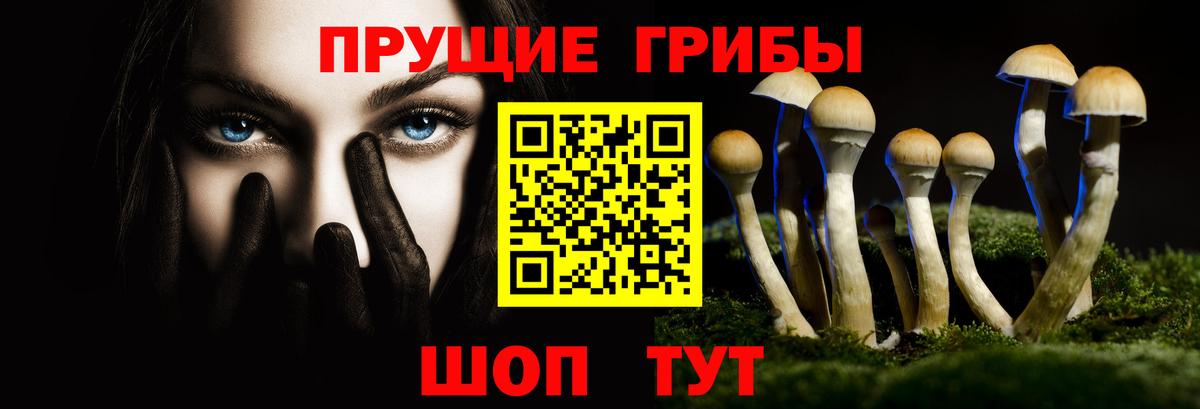 Ртищево  Галлюциногенные грибы Cubensis  Вход с VPN 